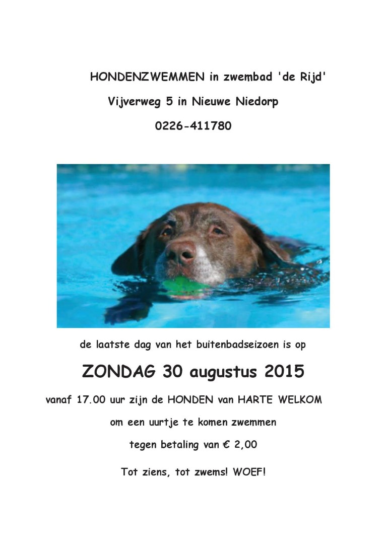 affiche hondenzwemmen 2015 Medium