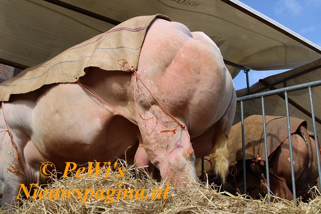 IMG 3675p BorderMaker