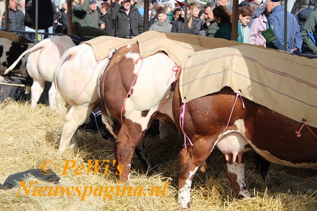 IMG 3677p BorderMaker