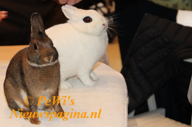 IMG 3703p BorderMaker