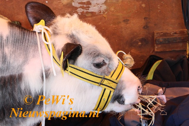 IMG 3723p BorderMaker