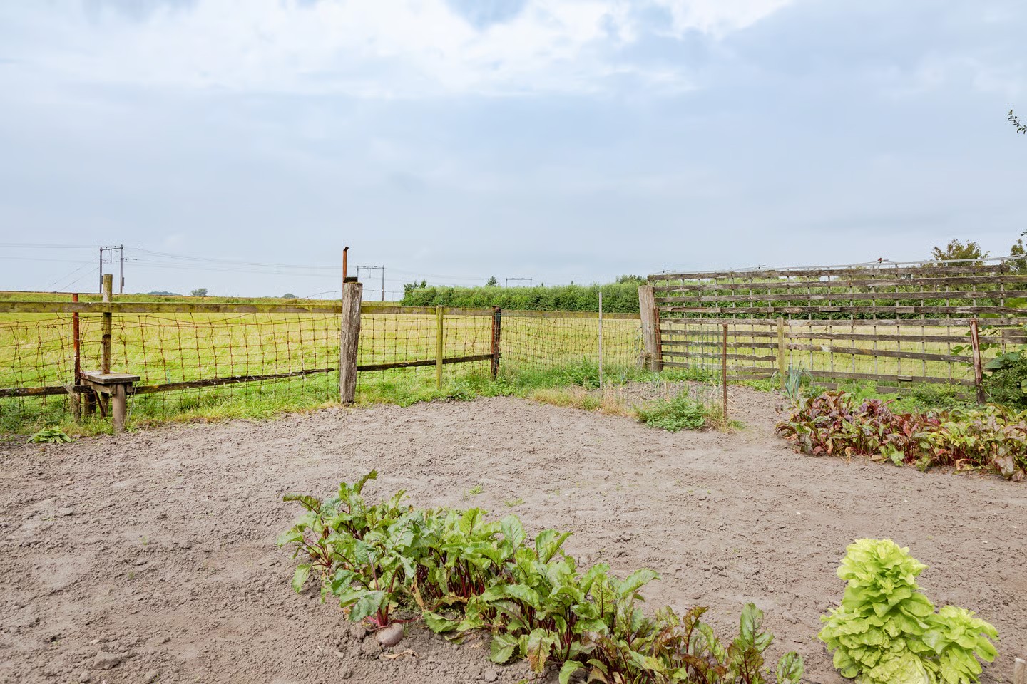 oudeweg 10 nieuwe niedorp foto 3 BorderMaker