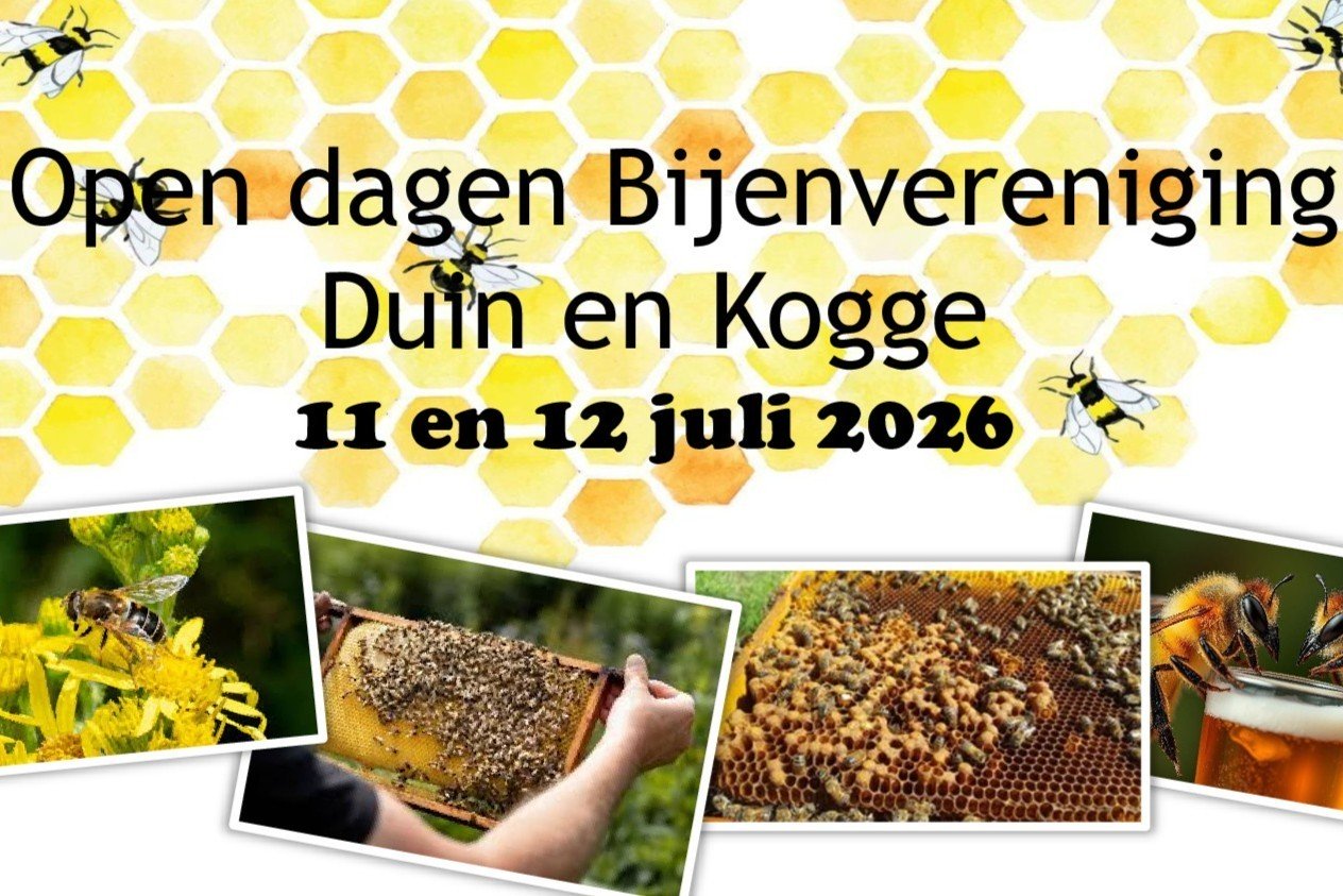 open dagbijen2255.cccddff