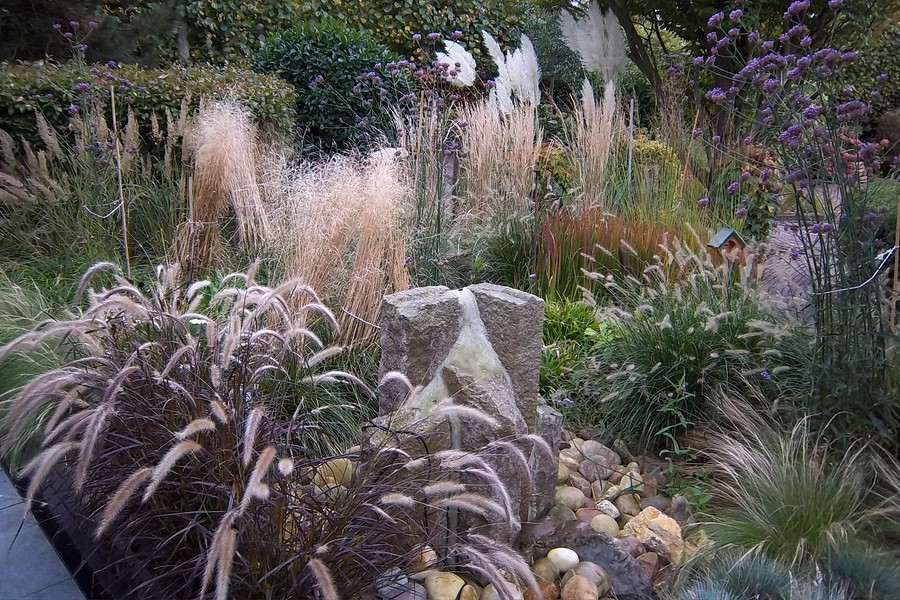 bbb2026 Afbeelding tuin Hans en Marieke juli Top in de Kop. BorderMaker