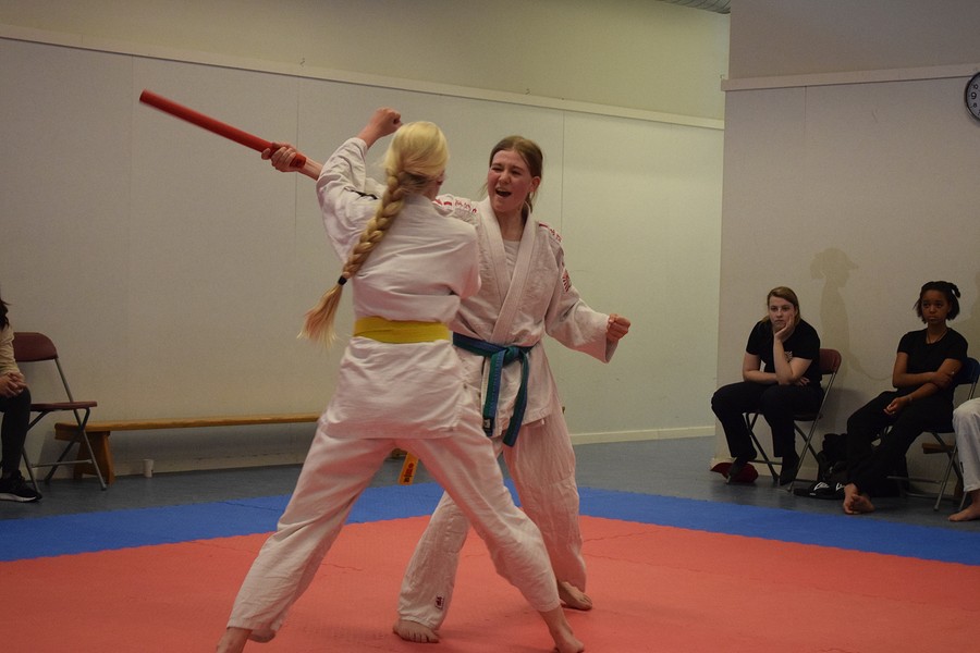 DSC 4505 BorderMaker