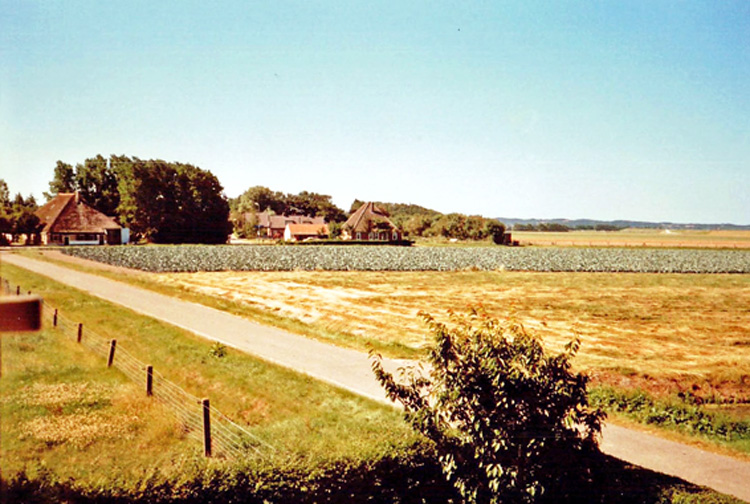 Selschardijk Nottelman en Kossen2