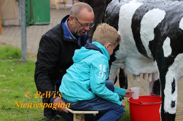 IMG 7084-BorderMaker