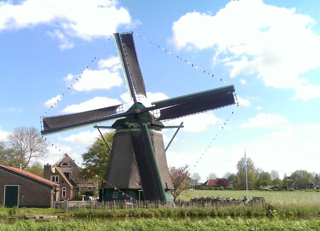 Molen met vlaggetjes Custom