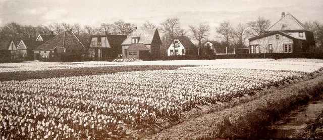 739 Dorpsstraat vanaf het Hoefje.  1930  640x480