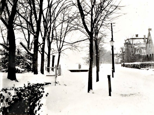 241 Bosstraat links Melchior.  1950  640x480