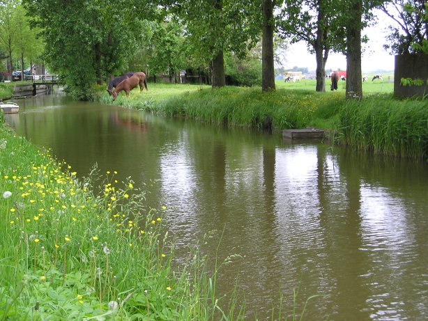 Barsingerhorn vaart door dorp mei 2006R30