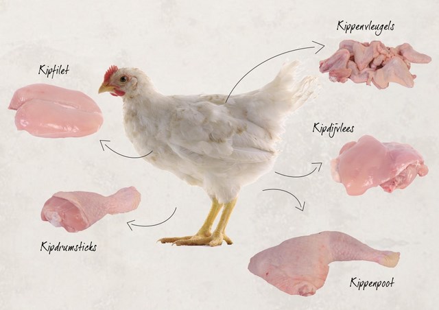 Herkomst kipdelen DEF 640x480