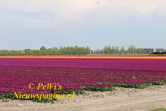 IMG 8495 640x480-BorderMaker