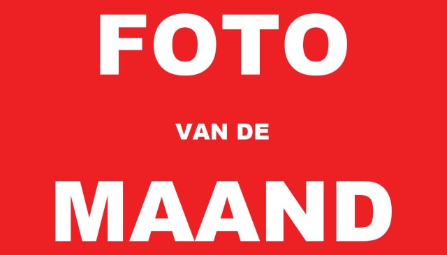 FOTO VAN DE MAAND161616 Custom