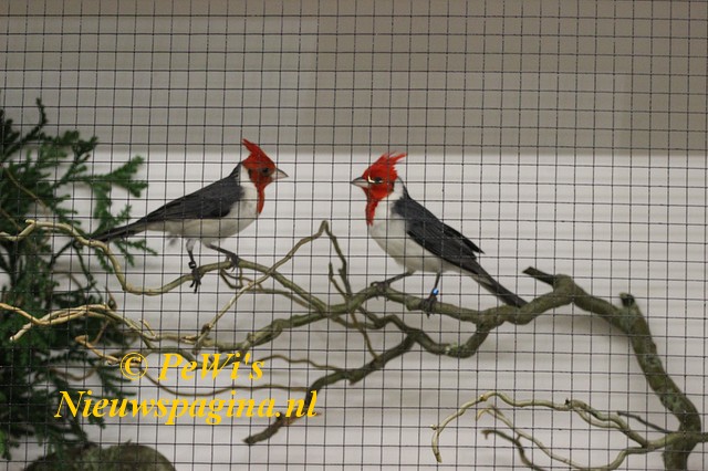 IMG 0682-BorderMaker