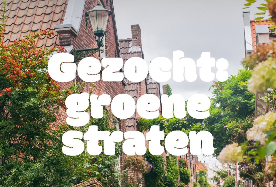 Afbeelding Groene straten gezocht 0aa