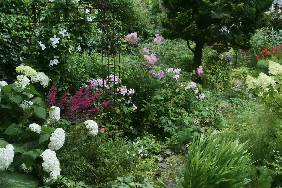 2025 Afbeelding tuin Tineke en Adri Out julibbbb BorderMaker