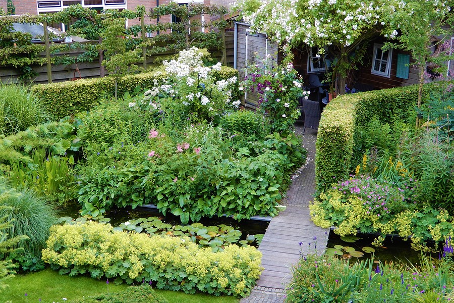 DSCN0113aaabb BorderMaker