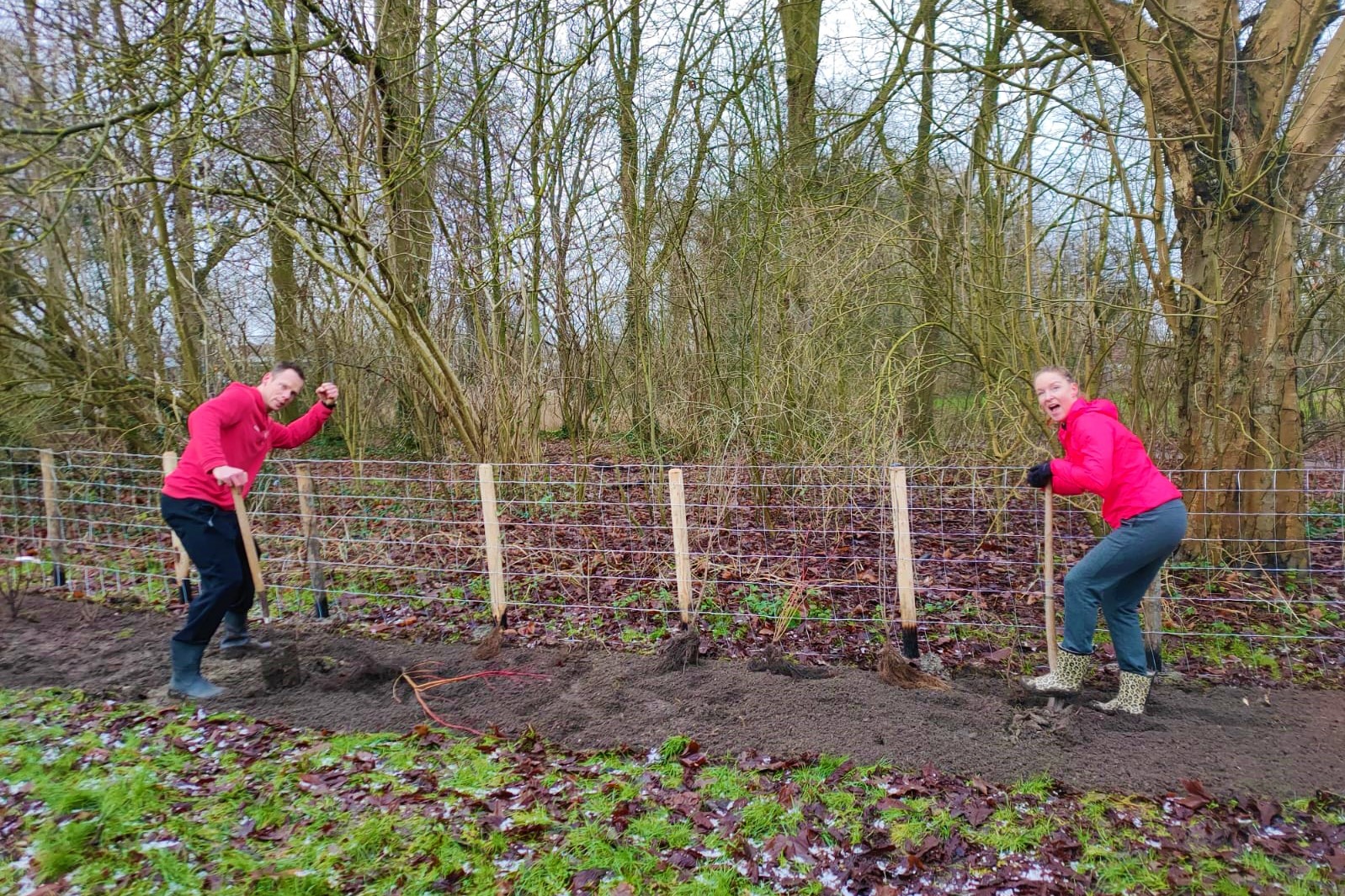 hondenspeeltuin 11 3aa