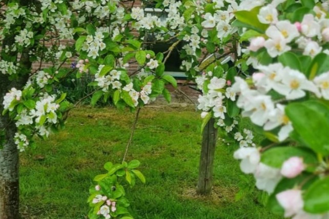 473713199 9631001453599933 7887091575742792250 nbbb