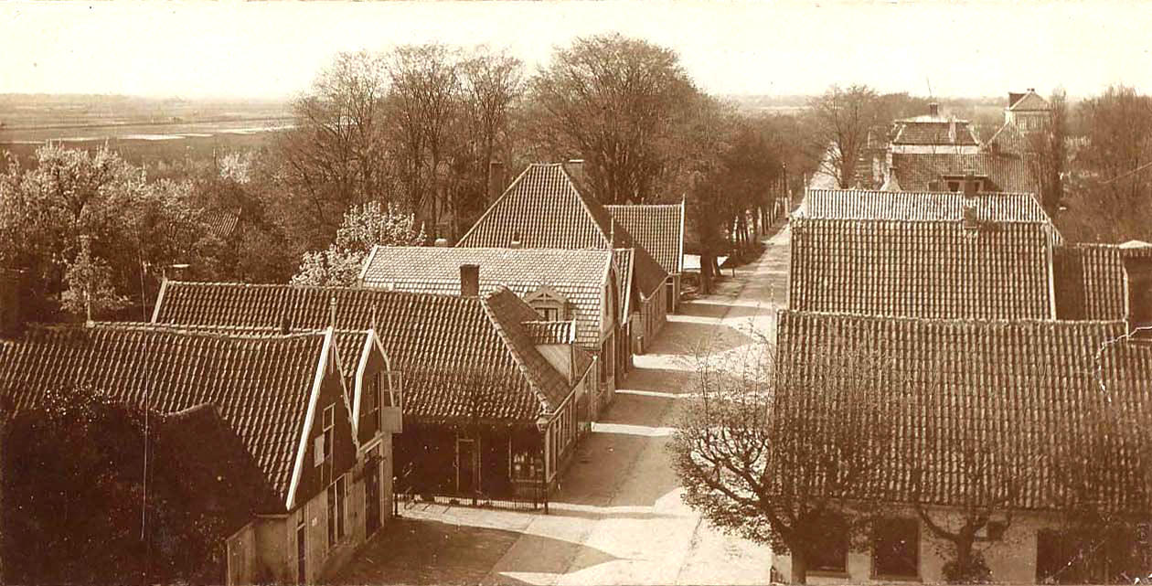 206 Bosstraat