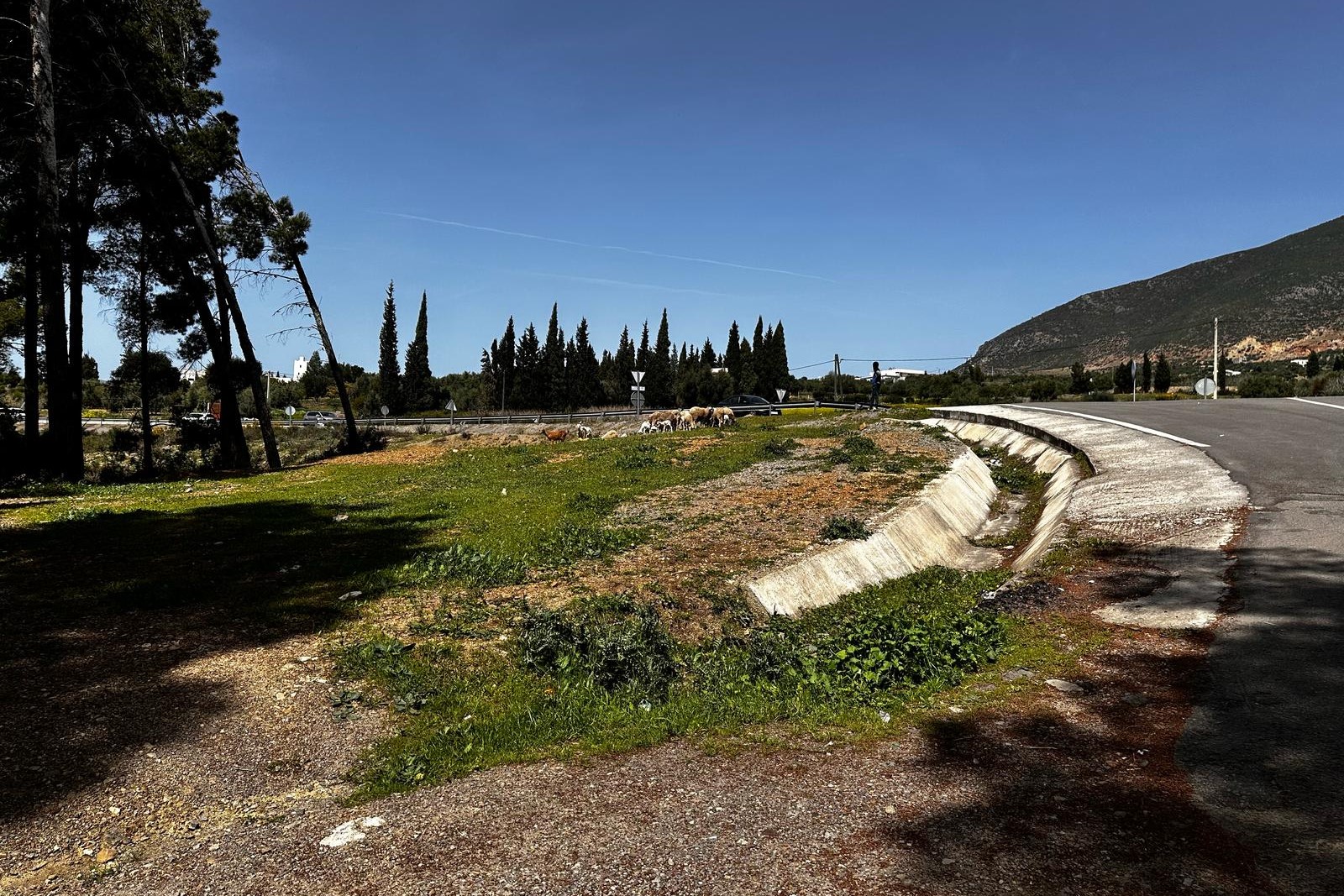 bbIMG 20250401 WA0002