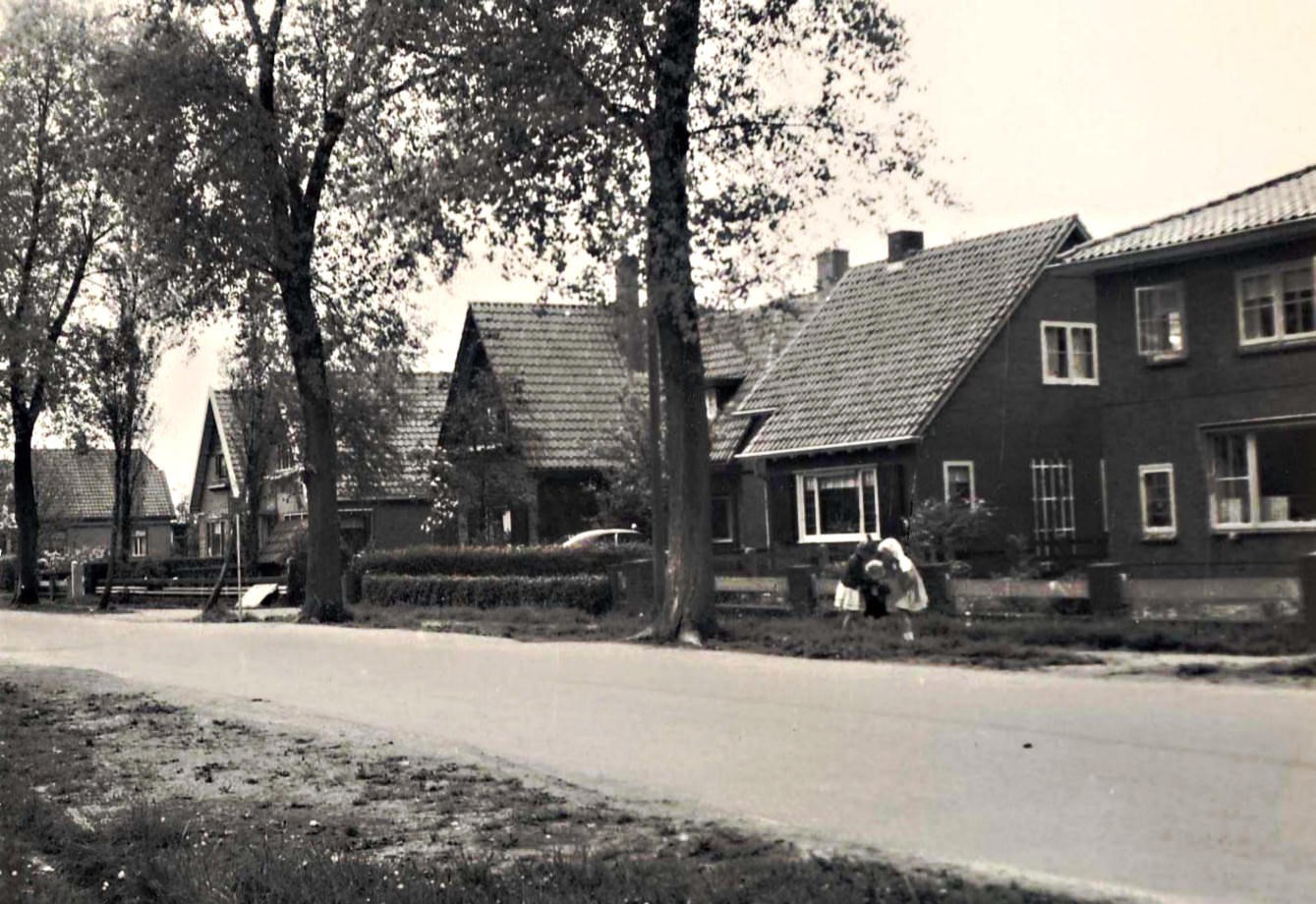 762 Hoefje. 1951 aa