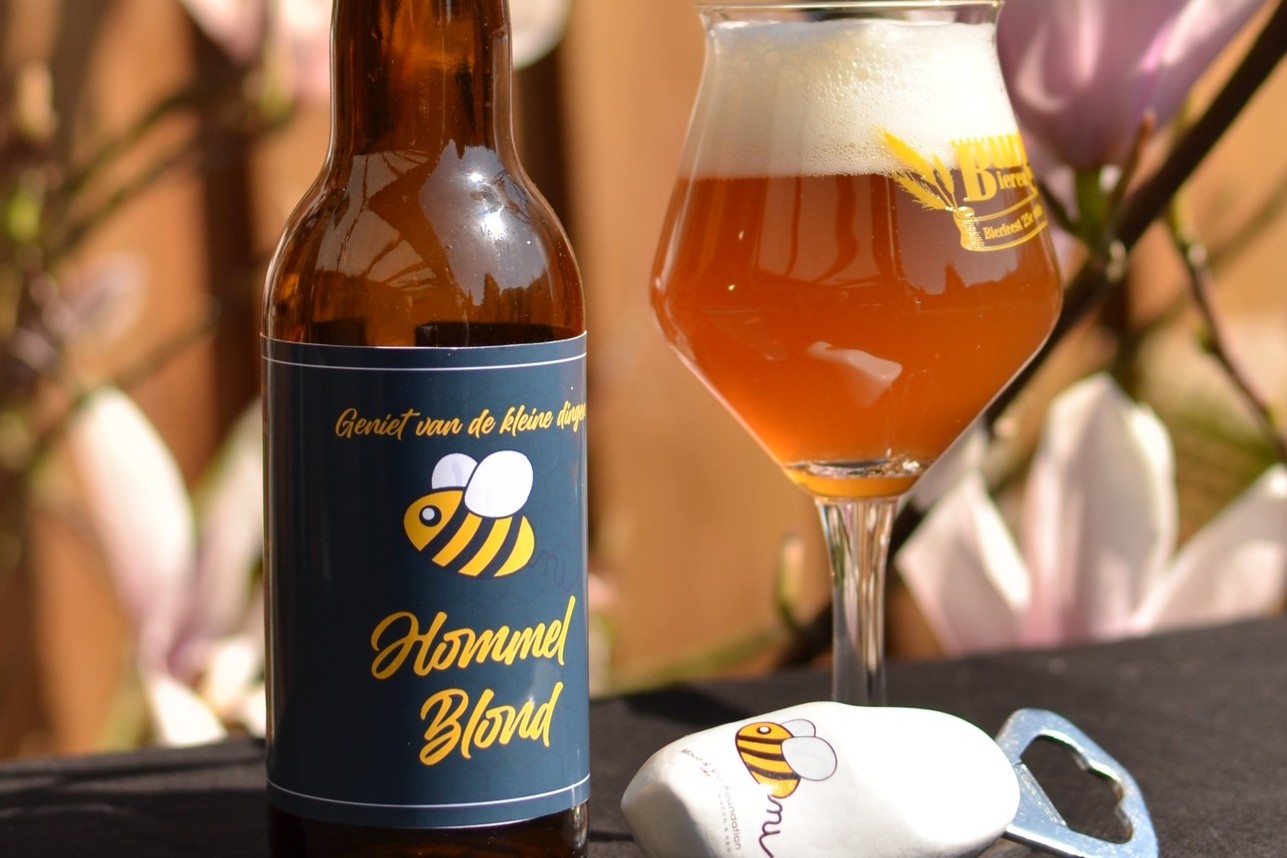 488889335 982238267378492 4701742953599163028 nbb