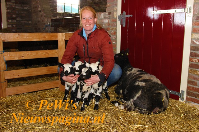 IMG 7075aaa BorderMaker