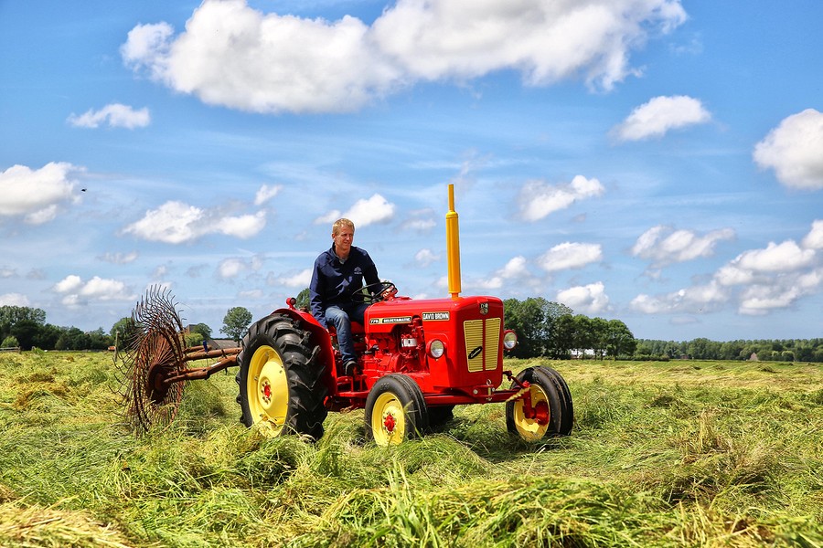 Hanneke de Boer 8937 002 BorderMaker