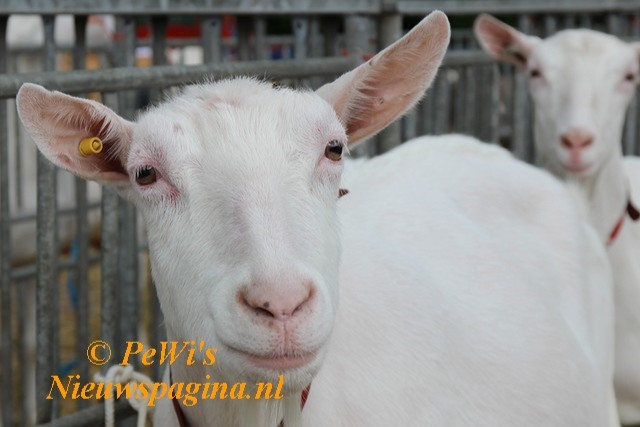 IMG 6123aa BorderMaker