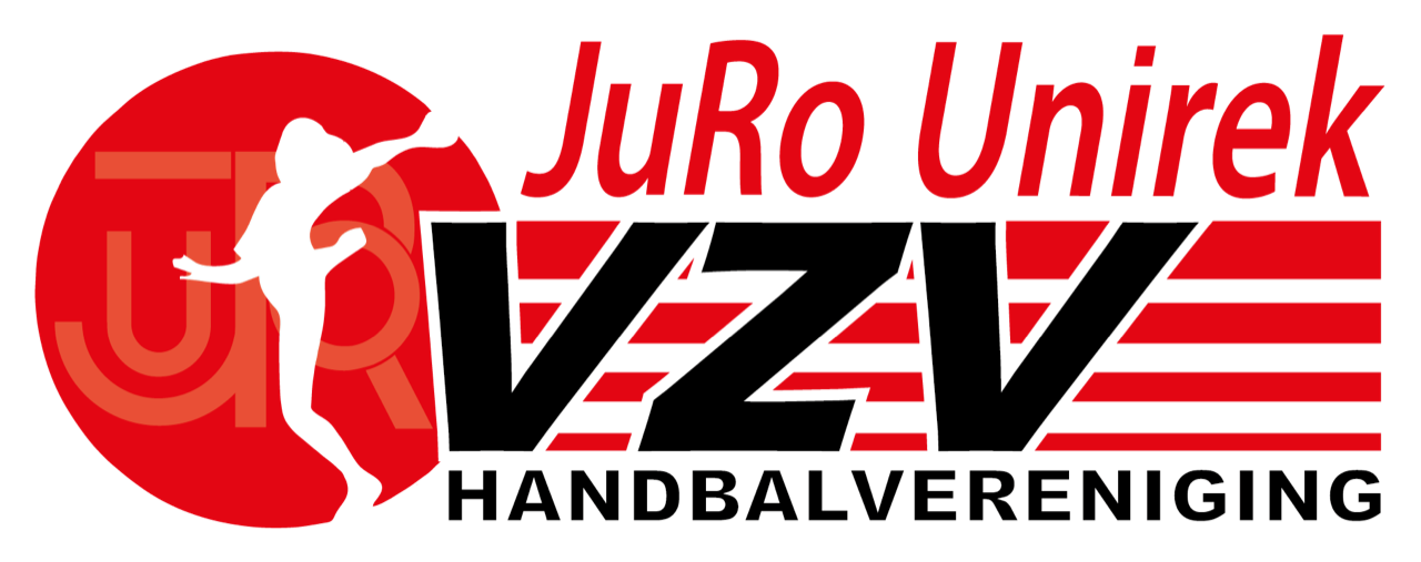 Logo VZV 