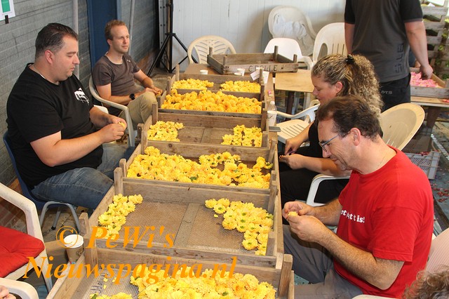 IMG 2938bb BorderMaker