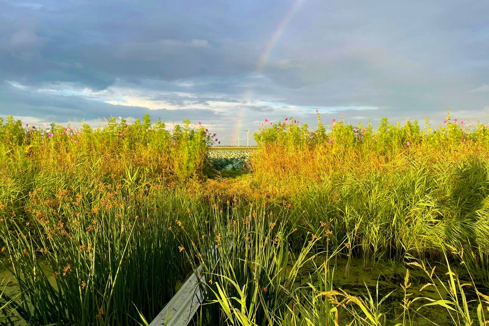 IMG 20220909 WA0000 002aa