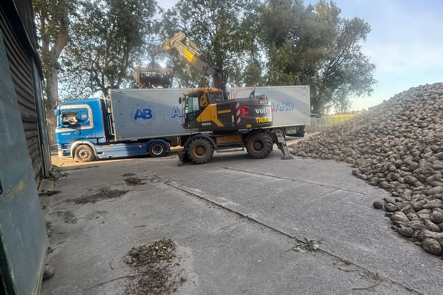 0IMG 20250925 WA0009