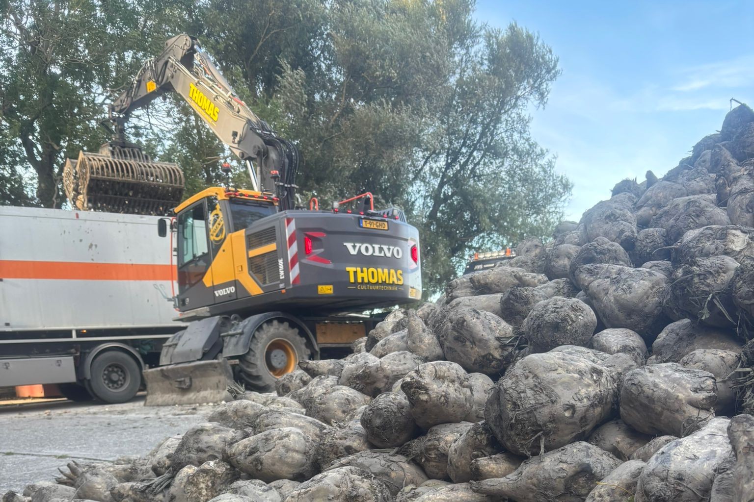 IMG 20221029 WA0001 002aaaaa