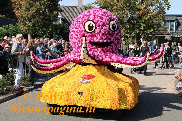 IMG 2523bb BorderMaker