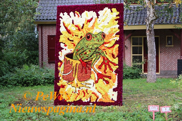 IMG 1737bb BorderMaker