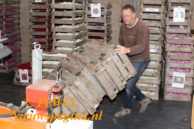 IMG 2184bb BorderMaker