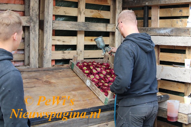 IMG 2275bb BorderMaker