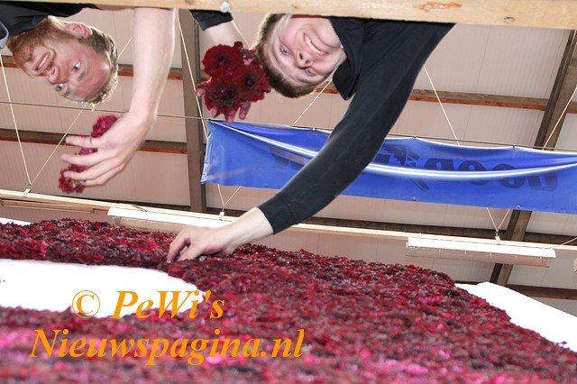 IMG 2273bb BorderMaker