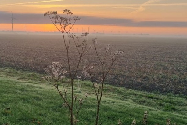 IMG 20251006 WA0000bb