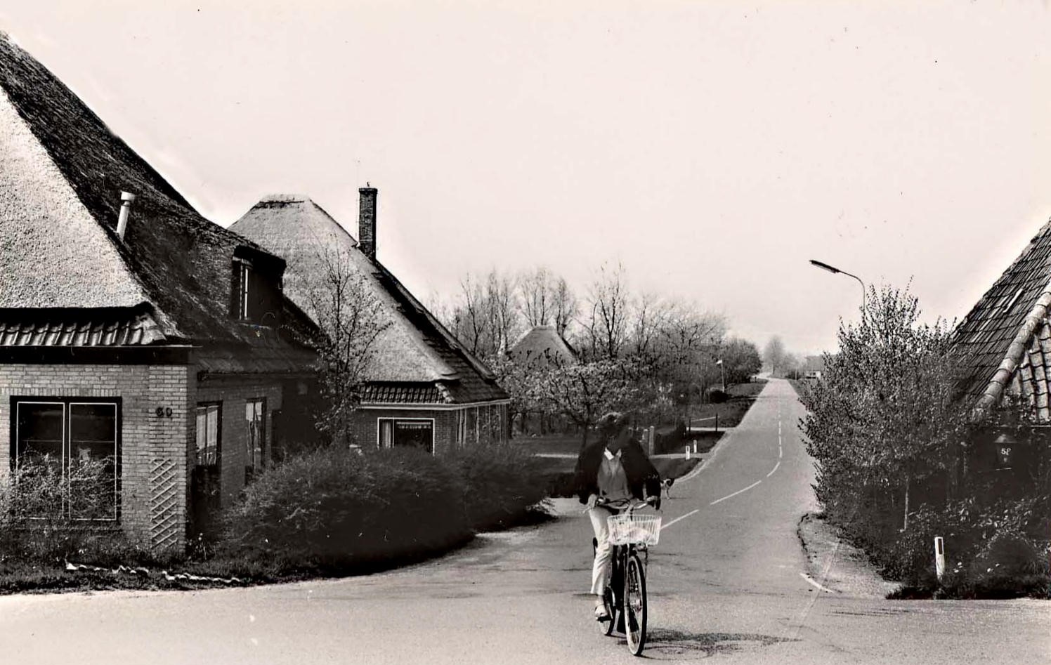 825 Langereis 50 Oudeweg. 1984 aa