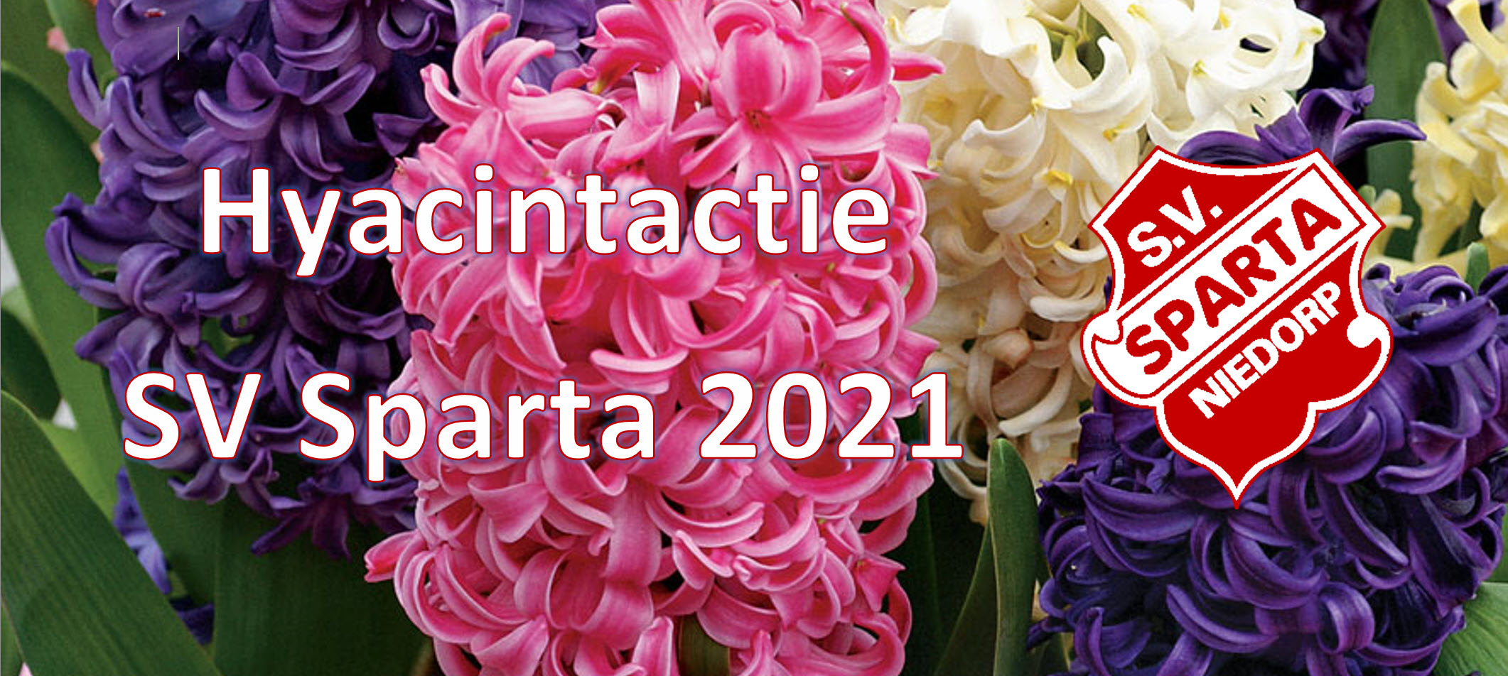 Plaatje Hyacinthactie 2021