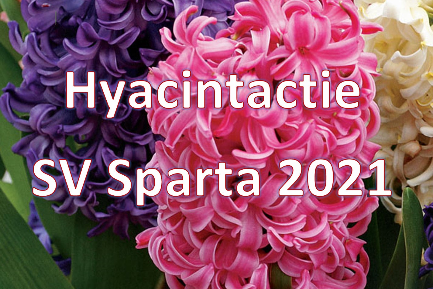 Plaatje Hyacinthactie 2021aaa
