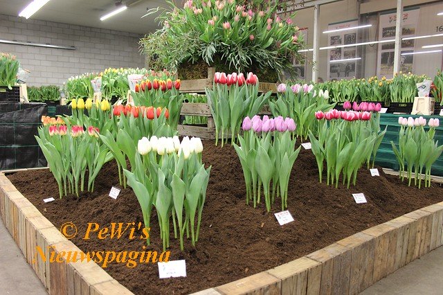 IMG 2283 BorderMaker