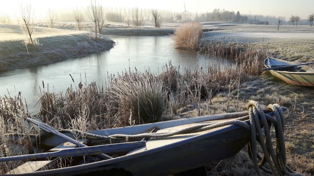 20170122 094557 Custom