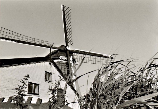 090 Dorpsstraat 6. Molen. 1979 640x480