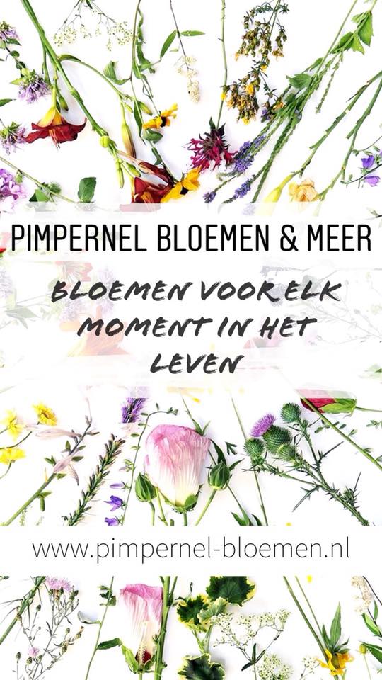 52071463 2731159090242677 220990902196240384 n