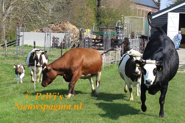 IMG 1543aa BorderMaker